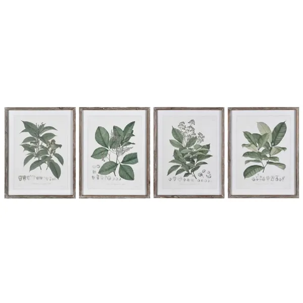 Set of 4 Perennial Herbs Wall Art