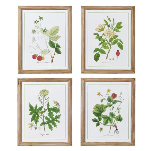 Set of 4 Botanical Wall Art