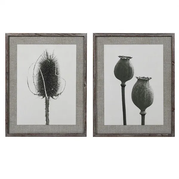 S 2 Poppy Teasel Prints