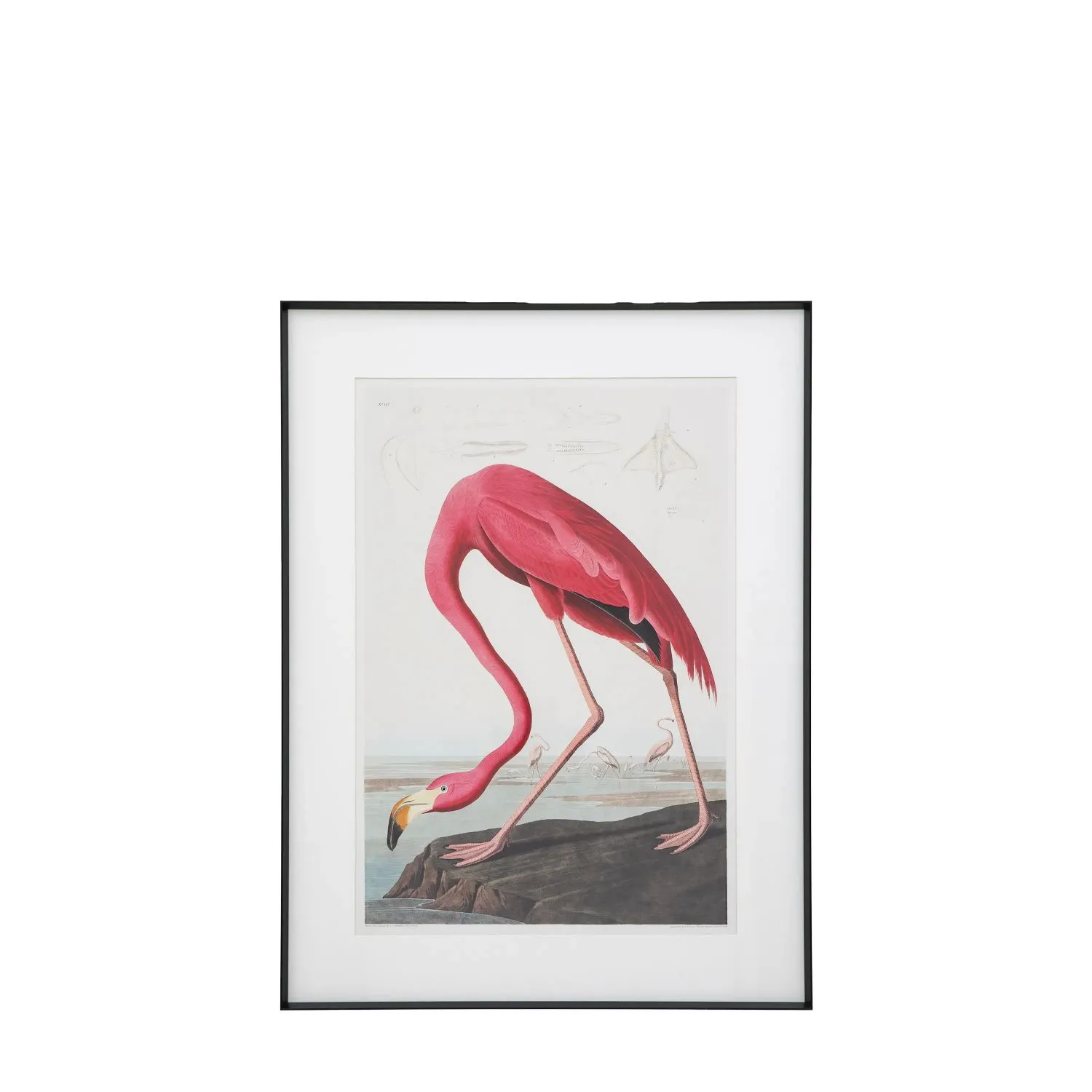 Flamingo Framed Art Flamingo Framed Art
