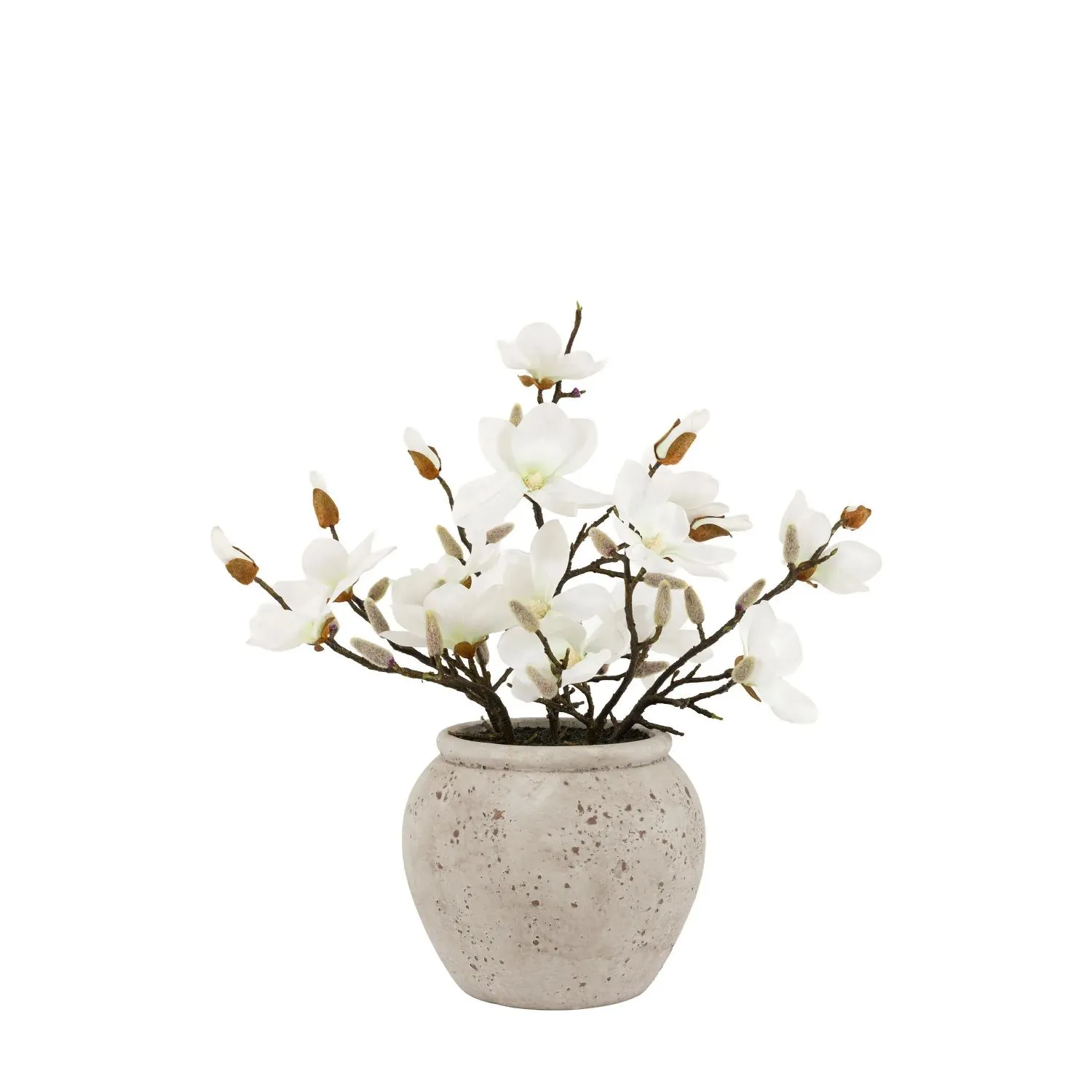 Magnolia Vase Arrangement Magnolia Vase Arrangement