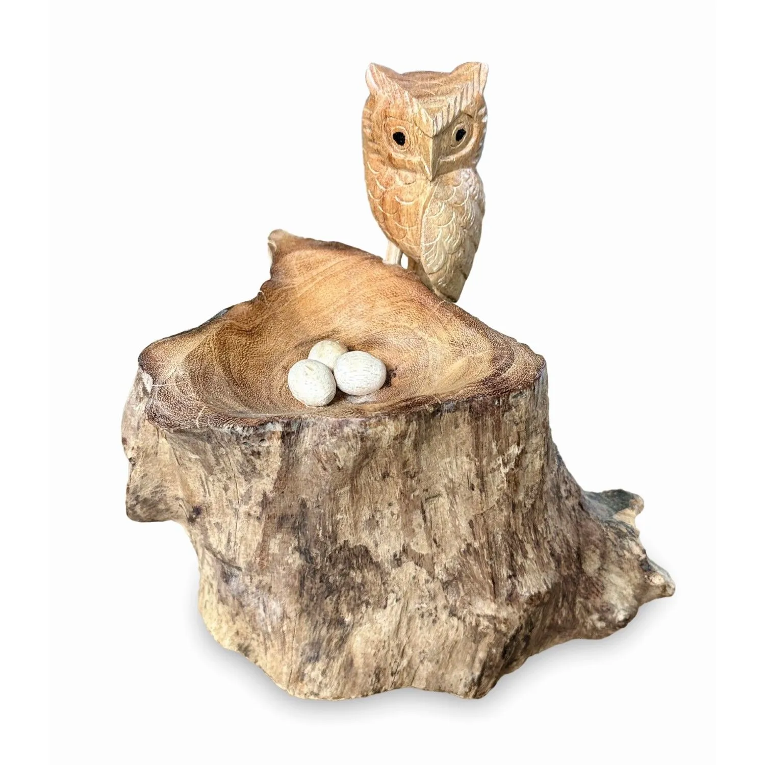 Nesting Single Tawny Owl Nesting Single Tawny Owl